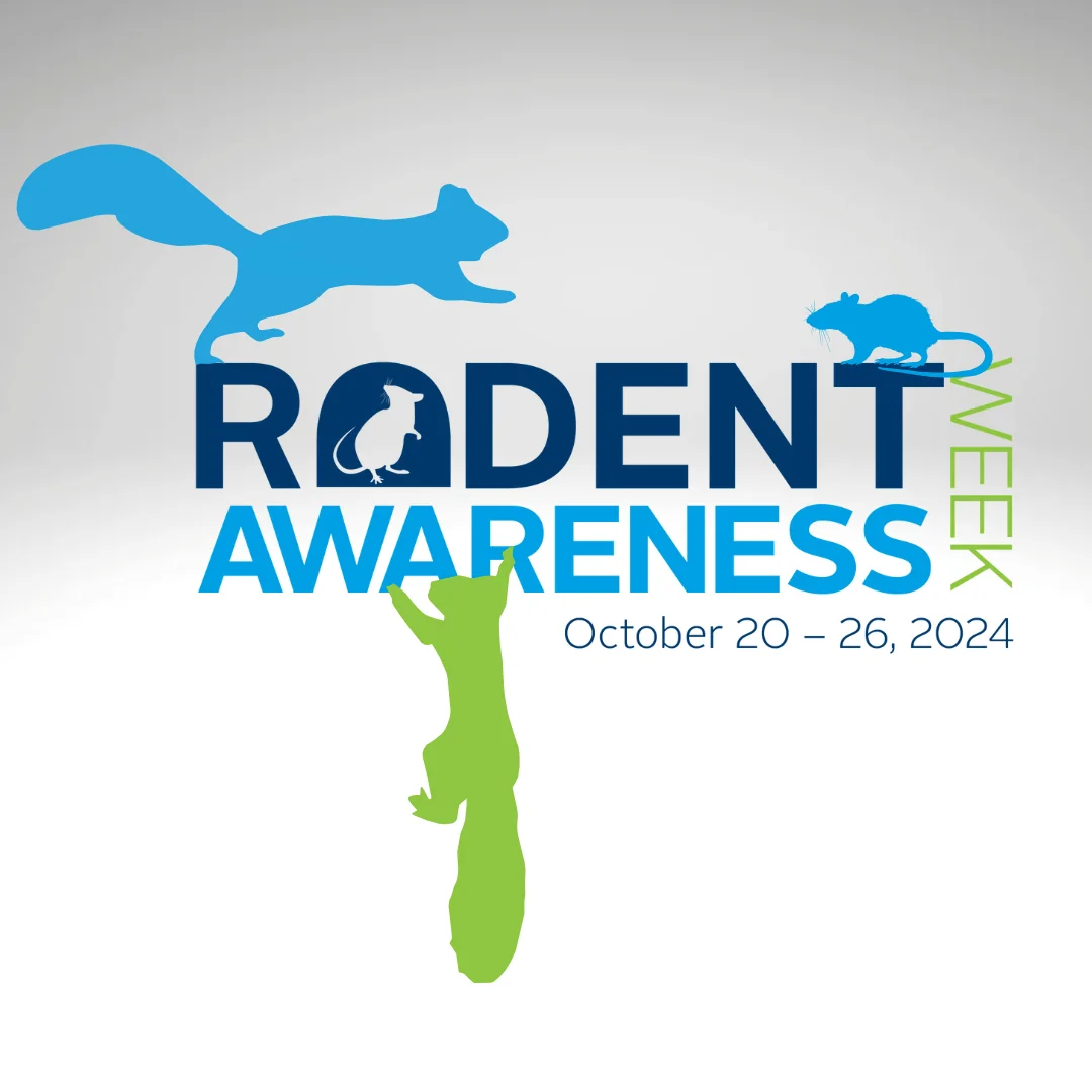 Rodent Awareness Week 2024