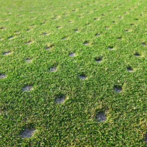 A lawn featuring holes after being spiked for aeration.