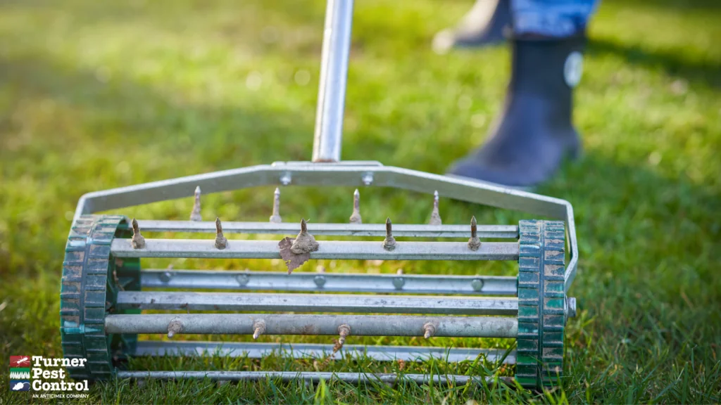 A lawn service worker pushes an aeration tool across a yard.