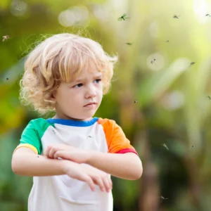 A young child is swarmed by mosquitoes.