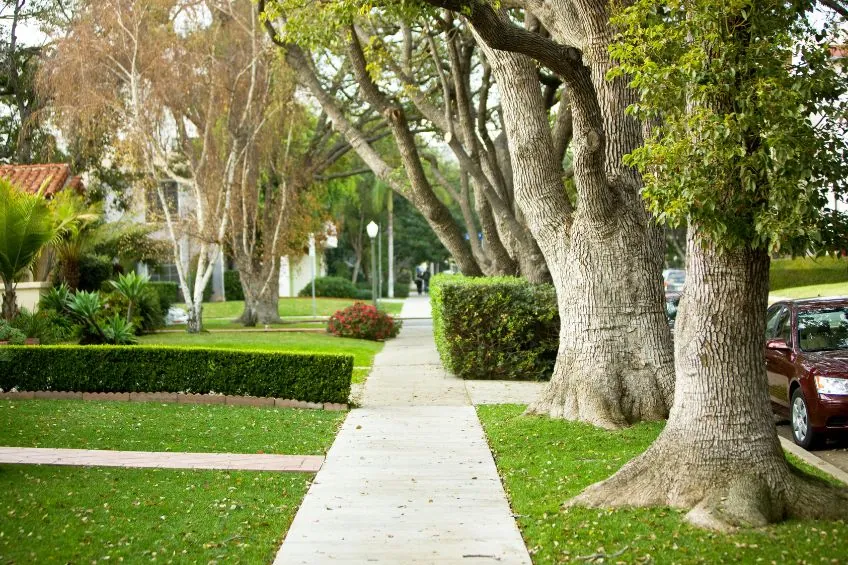 pest-control-in-alachua-county-s-suburbs-what-every-homeowner-needs-to-know