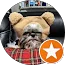 blaireg customer review