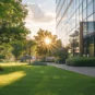 sun shining through trees on office lawn and shrubs