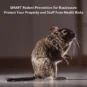 Rodent Prevention for Businesses: Protect Your Property and Employees from Health Risks
