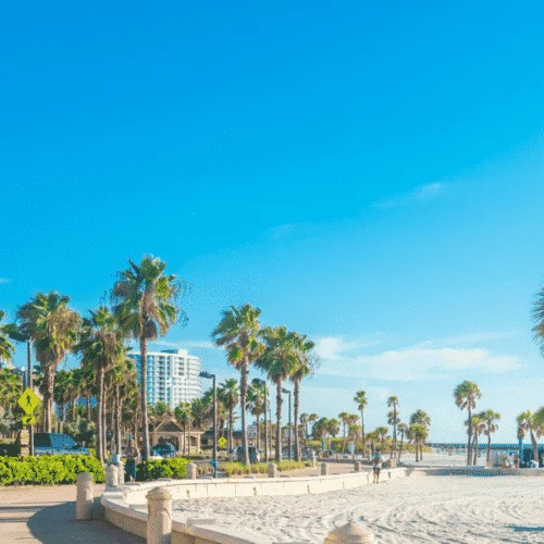 Turner-New-Site-Location-Page-Header-Clearwater-500x500
