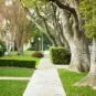 pest-control-in-alachua-county-s-suburbs-what-every-homeowner-needs-to-know